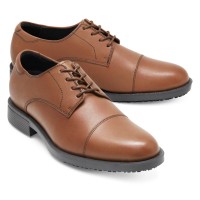 Senator 1211 - Brown Senator 1211 - Brown
